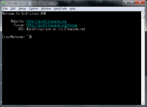 Arch Linux remote login